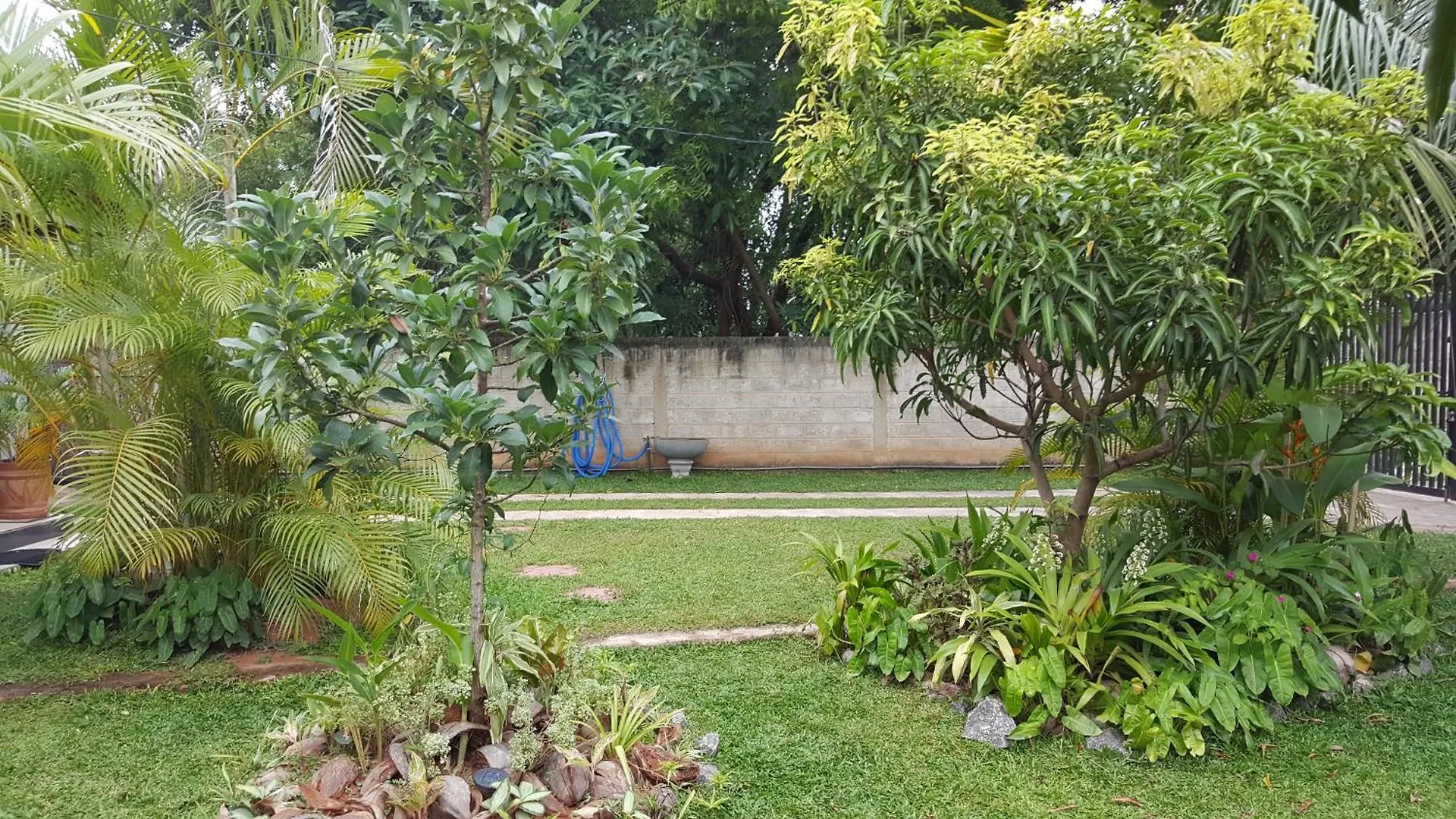 Grace Green Ville Negombo 0*,  Sri Lanka