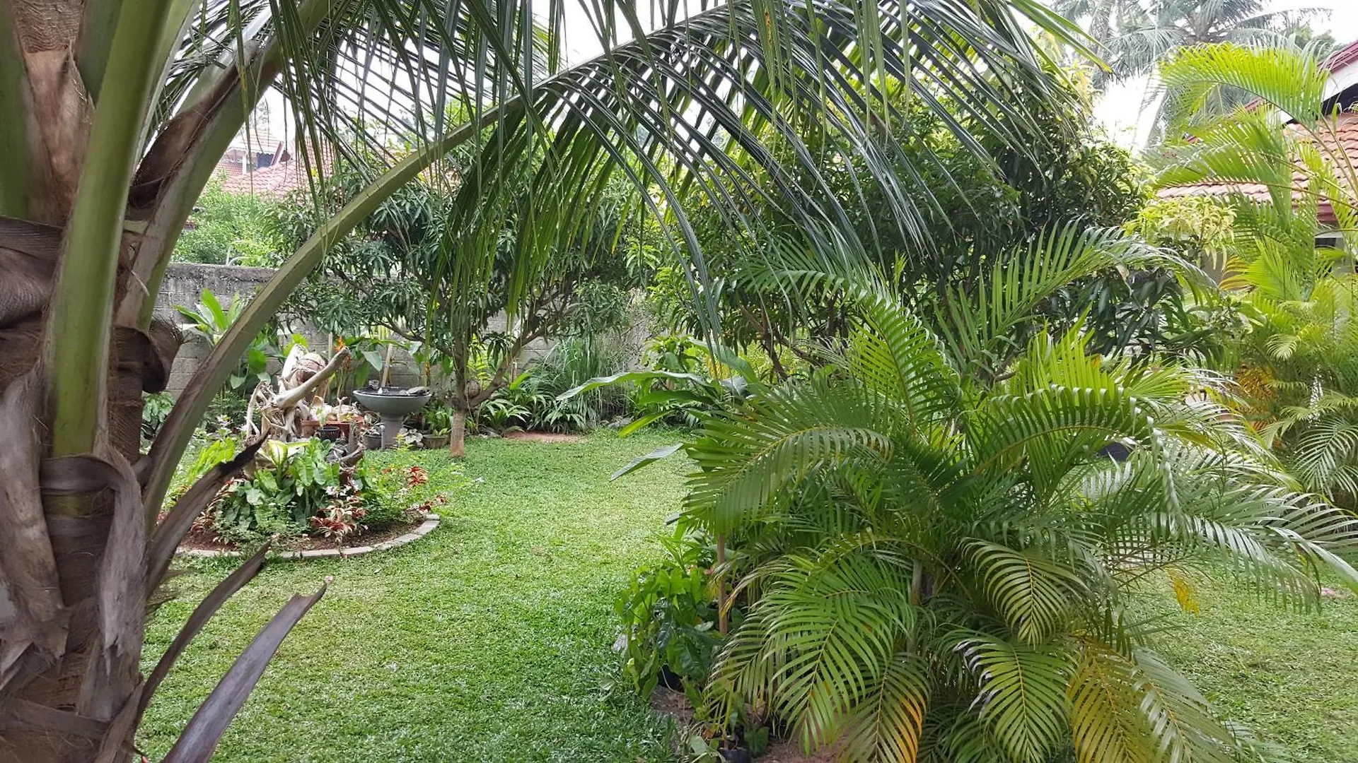 Grace Green Ville Negombo Séjour chez l'habitant