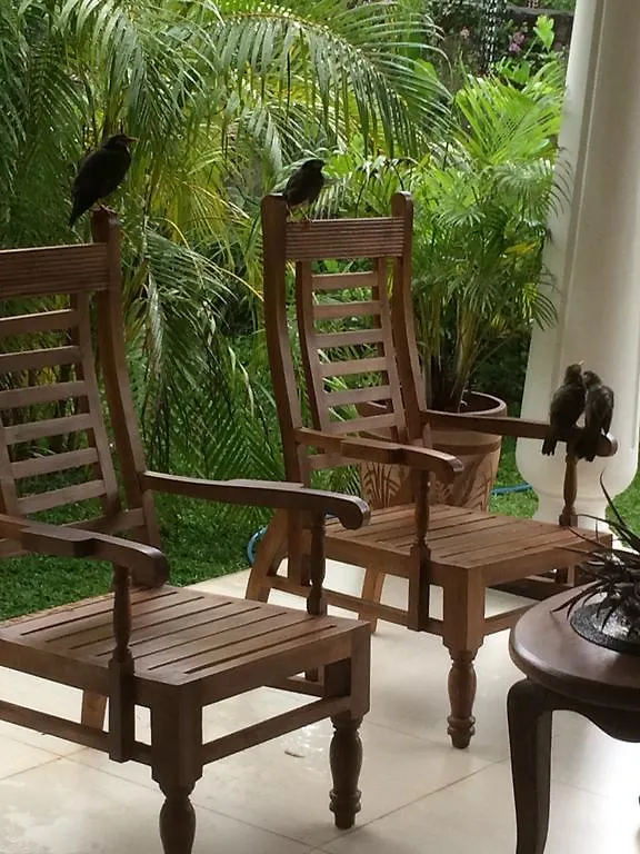 Grace Green Ville Negombo